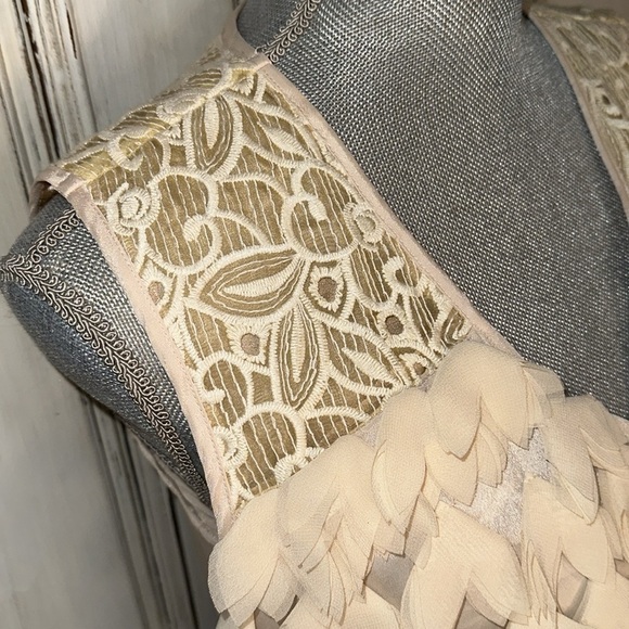 Champagne & Strawberry Sleeveless V Neck 3D Blush and Lace Statement Dress S/8P - Picture 6 of 14